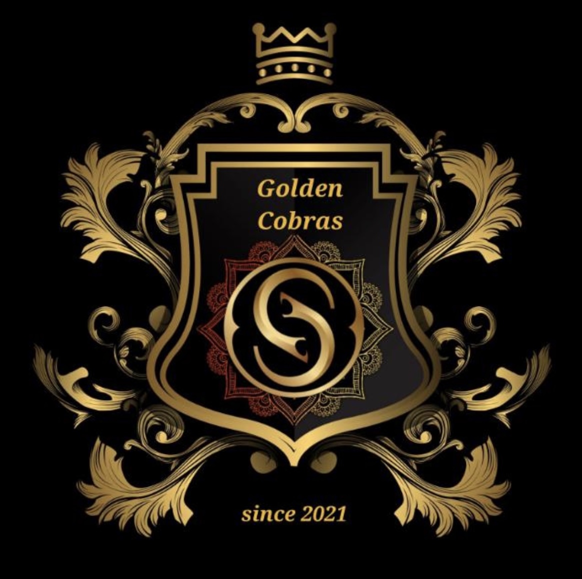 Teamlogo